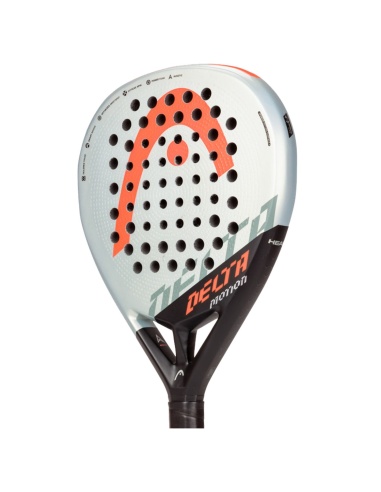 Head Delta Motion