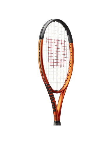 Wilson Burn V5 100