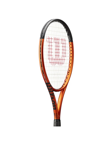 Wilson Burn V5 100ULS