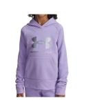 Under Armour Rival Shimmer Hoodie Transparent
