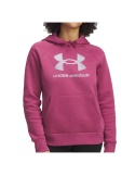 Under Armour Rival Shimmer Hoodie Fuchsia